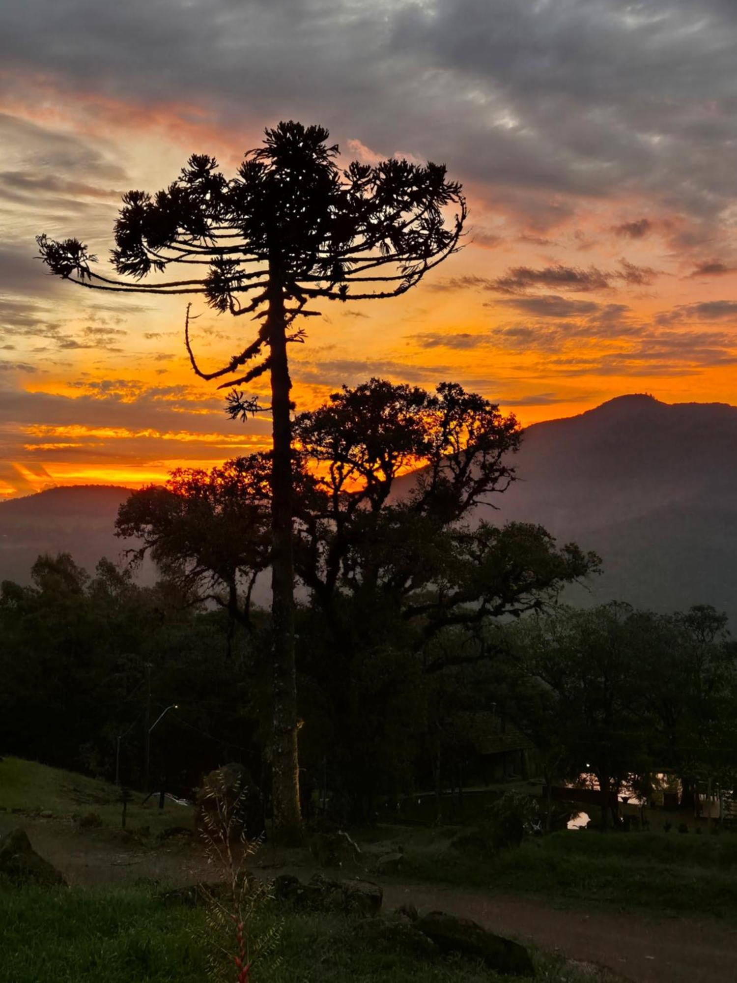 Alto Da Colina Caraa Rs Villa Dış mekan fotoğraf